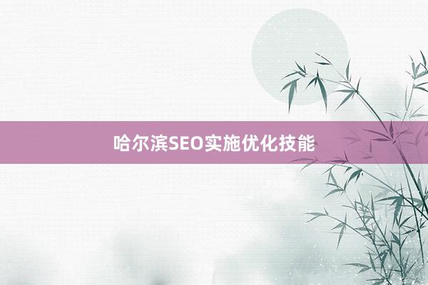 哈尔滨SEO实施优化技能