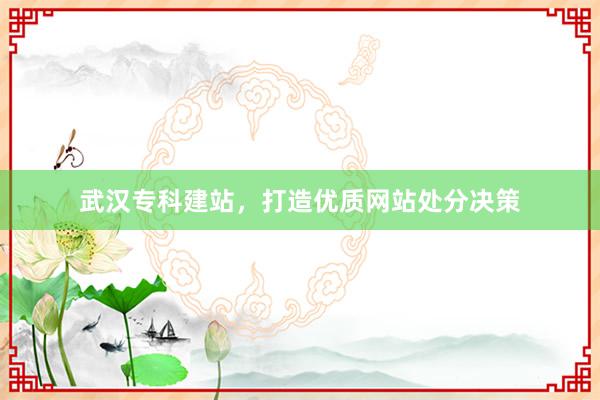 武汉专科建站，打造优质网站处分决策