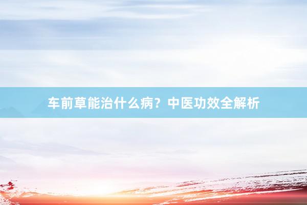 车前草能治什么病?中医功效全解析