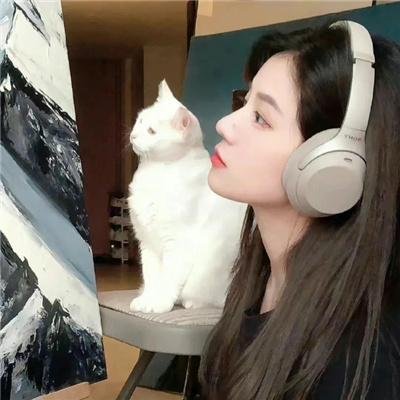 情归延安